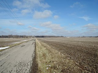 Property photo 9 - LAND AUCTION, 211+/- Acres offered in 3 Tracts